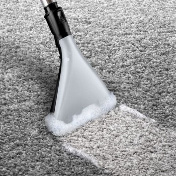 Порохотяг BOSCH BWD421PET